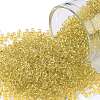 TOHO Round Seed Beads SEED-XTR11-2151-1