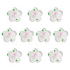 10Pcs Handmade Lampwork Beads LAMP-TADJ0001-01B-2