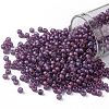 TOHO 8/0 Round Beads SEED-XTR08-0625F-1