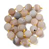 Natural Geode/Druzy Agate Beads Strands G-A248-A05-01-3