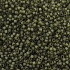 MIYUKI Delica Beads X-SEED-J020-DB2404-2
