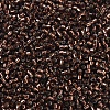 MIYUKI Delica Beads SEED-X0054-DB0150-3