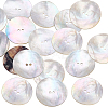 20Pcs 2-Hole Natural Shell Buttons BUTT-PH0001-75-1