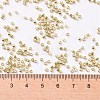 Cylinder Seed Beads SEED-H001-D06-2