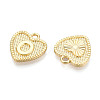 Alloy Pendants PALLOY-N157-001O-NR-2