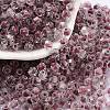 Glass Seed Beads SEED-A032-01H-1