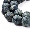 Frosted Natural Kambaba Jasper Beads Strands G-M272-14-6mm-5