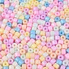 Opaque Baking Paint Glass Seed Beads SEED-T008-02-M01-3