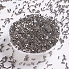 MIYUKI Quarter TILA Beads SEED-JP0008-QTL190-2