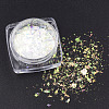 Nail Art Glitter Powder MRMJ-S015-009F-1