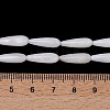 Natural Freshwater Shell Beads Strands SHEL-A004-03A-4