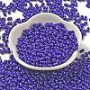 Baking Paint Glass Seed Beads SEED-K009-01A-09-2