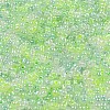 Ceylon Glass Seed Beads SEED-K009-02B-42-3