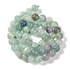 Natural Fluorite Beads Strands G-P530-B04-03-4