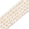Natural Cultured Freshwater Pearl Beads Strands PEAR-I007-01B-06B-2