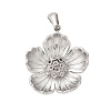 304 Stainless Steel Pendants STAS-Q349-01A-P-1