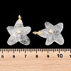 Natural Quartz Crystal Pendants X-G-H353-01G-02-3