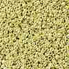 TOHO 11/0 Round Beads X-SEED-TR11-0559-2