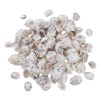400G Natural Shell Beads SHEL-GA0002-31-1