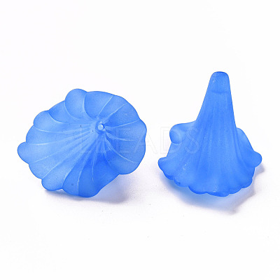 Transparent Acrylic Beads BSF796-C05-1