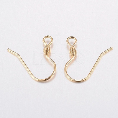 304 Stainless Steel Earring Hooks STAS-G179-45G-1