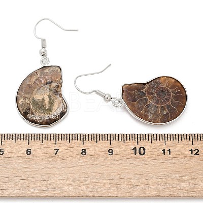 Fossil Spiral Dangle Earrings EJEW-P153-01-1
