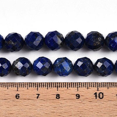 Natural Lapis Lazuli Beads Strands G-S345-10mm-24-1
