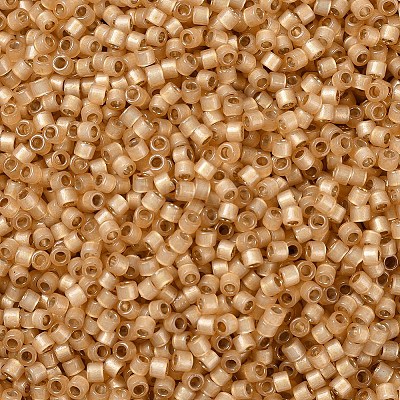 MIYUKI Delica Beads X-SEED-J020-DB2171-1