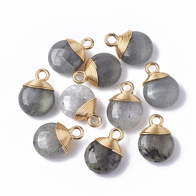Natural Labradorite Pendants X-G-S359-021A-1