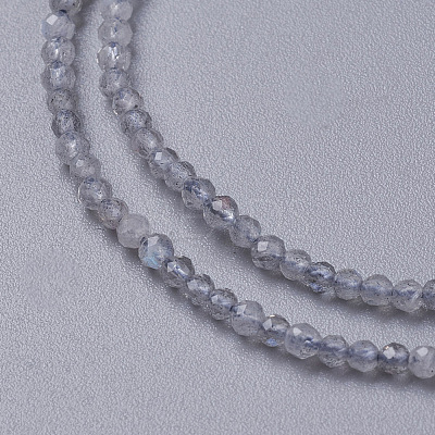 Natural Labradorite Beads Strands G-F596-43-3mm-1
