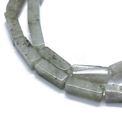 Natural Labradorite Beads Strands G-F631-E22-1