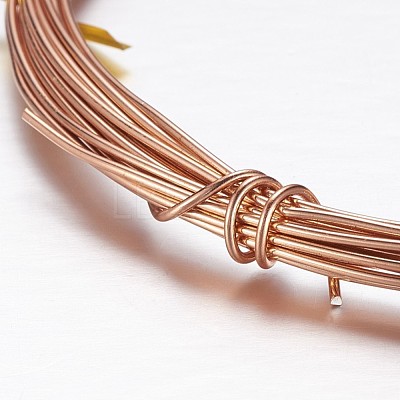 Round Aluminum Craft Wire AW-D009-1mm-10m-04-1