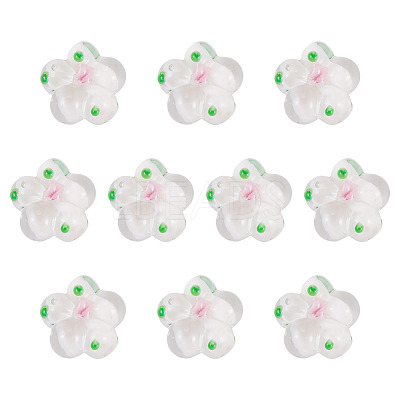 10Pcs Handmade Lampwork Beads LAMP-TADJ0001-01B-1
