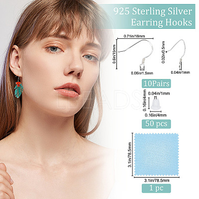 10 Pairs 925 Sterling Silver Earring Hooks STER-BBC0001-38-1