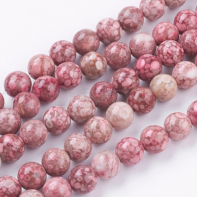 Natural Fossil Coral Beads Strands G-F563-01-8mm-1