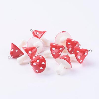 Resin Pendants RESI-S295-02-1