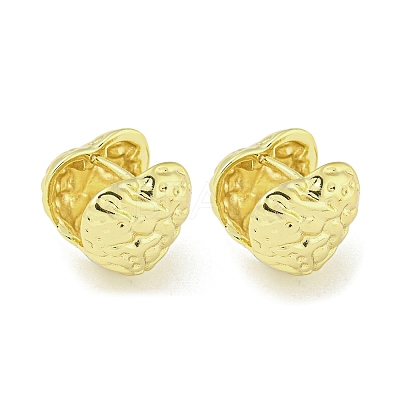 Brass Hoop Earrings EJEW-Q799-03C-G-1