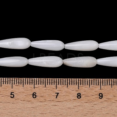 Natural Freshwater Shell Beads Strands SHEL-A004-03A-1
