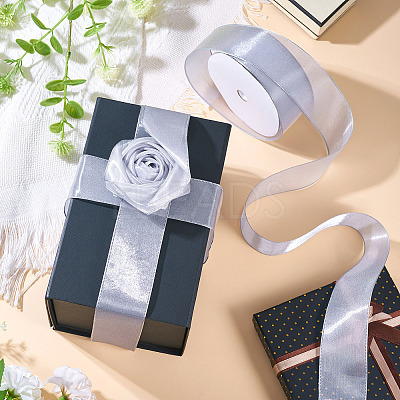 Polyester Organza Ribbon TAC0006-01E-1