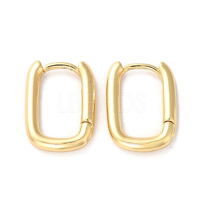 Brass Rectangle Hoop Earrings for Women ZIRC-Q201-28G-1