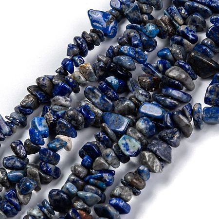 Natural Lapis Lazuli Beads Strands G-G011-05B-1
