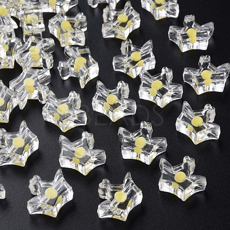 Transparent Acrylic Beads MACR-S373-105-B05-1