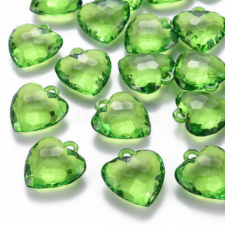 Transparent Acrylic Pendants TACR-T024-03B-925-1