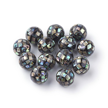Natural Paua Shell Beads X-SSHEL-Q298-10mm-09-1