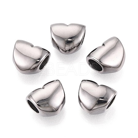 304 Stainless Steel European Style Large Hole Beads STAS-T072-141P-1
