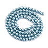 Shell Pearl Beads Strands BSHE-K015-4mm-02-4