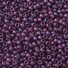 TOHO 8/0 Round Beads SEED-TR08-0625F-2