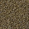 MIYUKI Delica Beads X-SEED-J020-DB0288-3