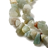 Natural Amazonite Chips Beads Strands G-M205-12-01-4