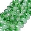 Natural Malaysia Jade Beads Strands G-L645-C01-14mm-28-1